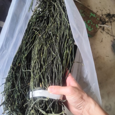 电商豆角干