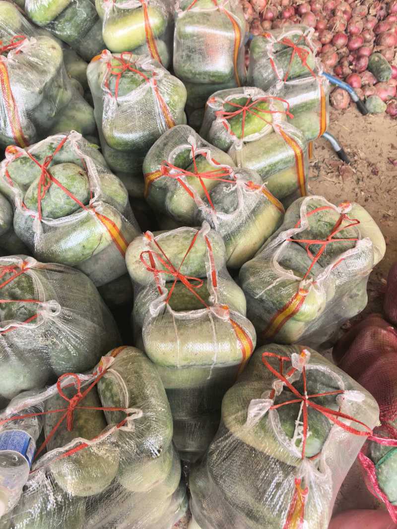 水果东瓜一串铃冬瓜商超零售等！一手货源，大量供应