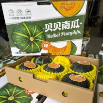 贝贝南瓜礼盒，专做商超，精品贝贝，社区团购礼盒专业一件代