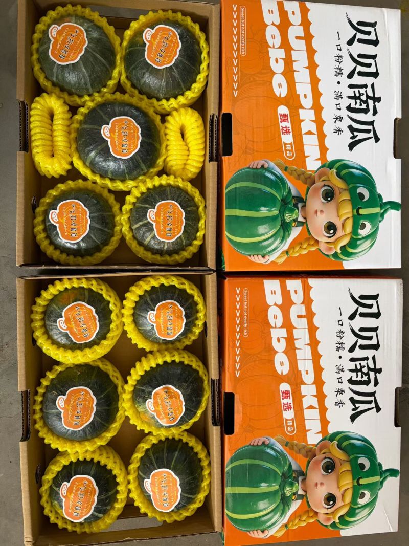 贝贝南瓜礼盒，专做商超，精品贝贝，社区团购礼盒专业一件代