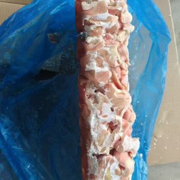 三黄鸡净胗