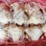 二级肉食西装鸡去尾