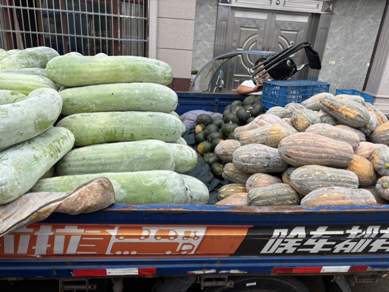 西三本地白皮冬瓜上车五毛五