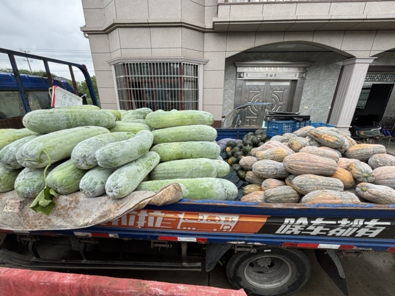 西三本地白皮冬瓜上车五毛五