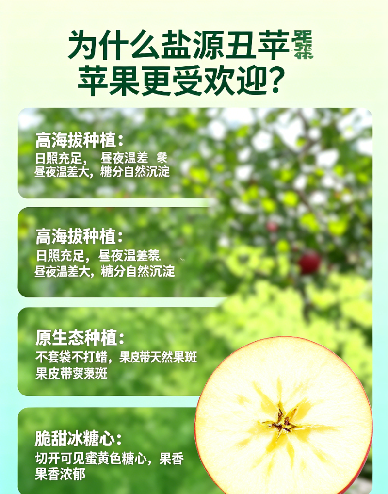 【荣誉老店】四川大凉山盐源丑苹果批发走快递包邮售后有保障