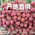 2026年黑叶荔枝，持续到7月初