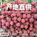2026年黑叶荔枝，持续到7月初