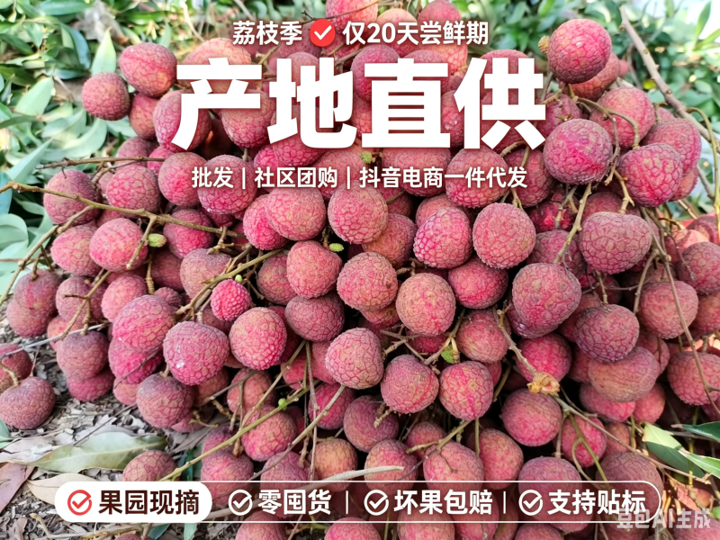 2026年黑叶荔枝，持续到7月初