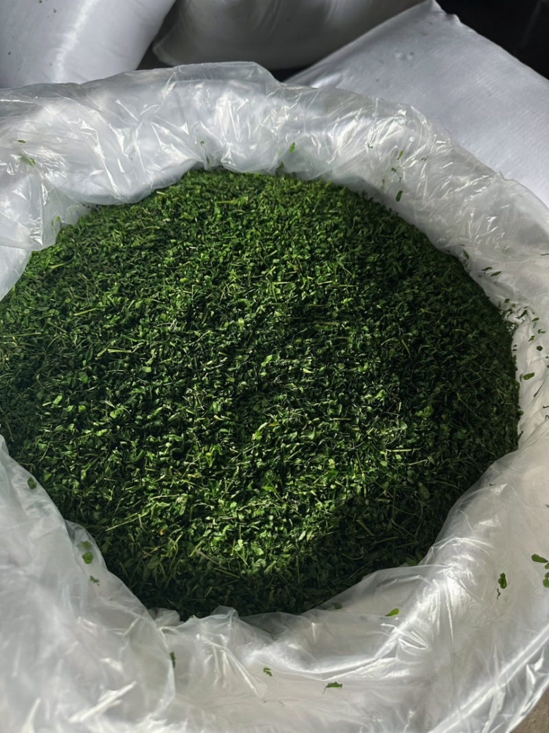 产地厂家直销，大量现货，相思茶，鸡骨草茶，油柑茶