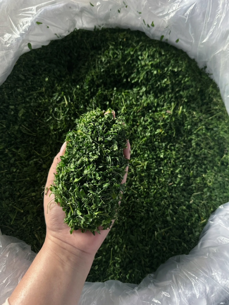产地厂家直销，大量现货，相思茶，鸡骨草茶，油柑茶