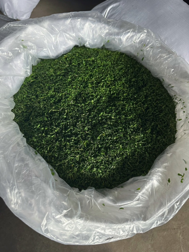 产地厂家直销，大量现货，相思茶，鸡骨草茶，油柑茶