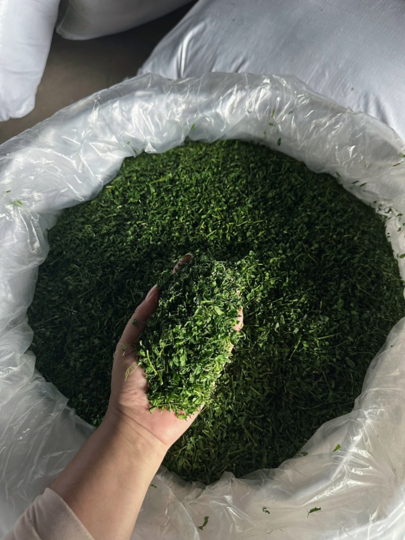 产地厂家直销，大量现货，相思茶，鸡骨草茶，油柑茶