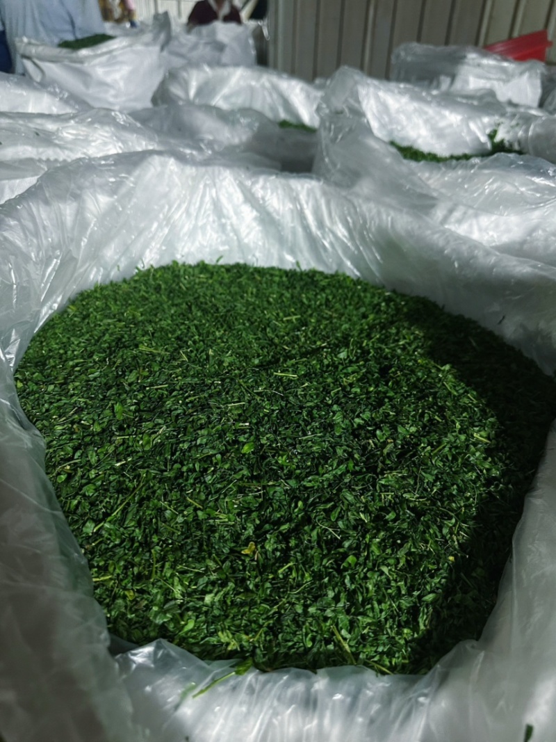 产地厂家直销，大量现货，相思茶，鸡骨草茶，油柑茶