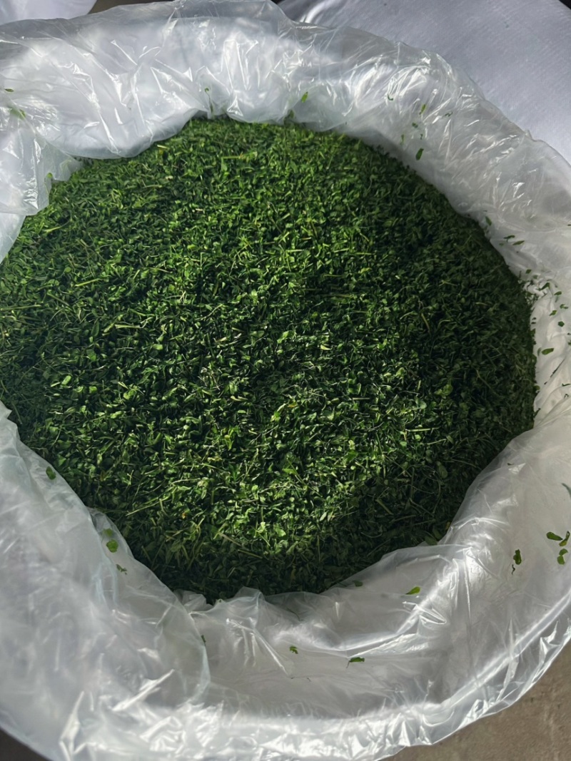 产地厂家直销，大量现货，相思茶，鸡骨草茶，油柑茶