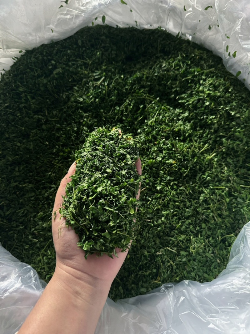 产地厂家直销，大量现货，相思茶，鸡骨草茶，油柑茶