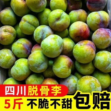 正宗四川脱骨李大量现货支持电商一件代发