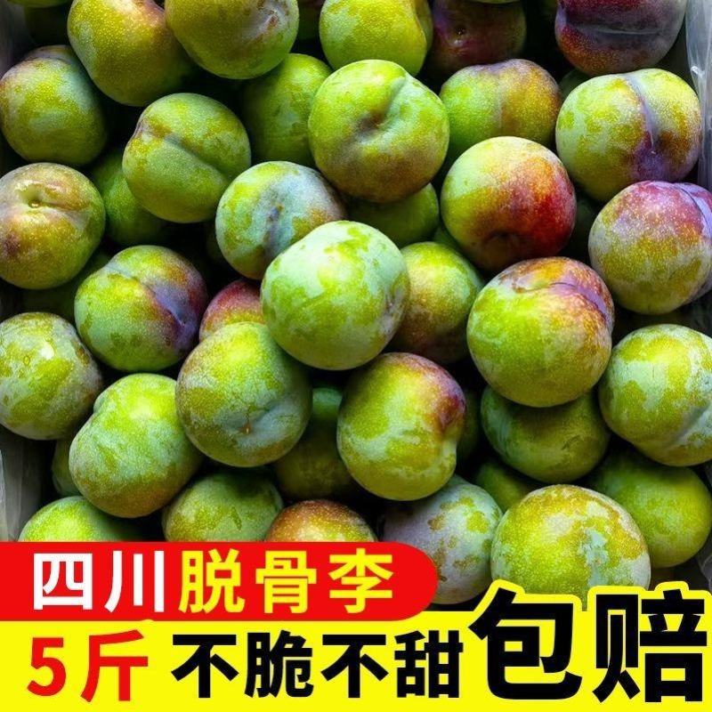 正宗四川脱骨李大量现货支持电商一件代发