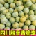 正宗四川脱骨李大量现货支持电商一件代发