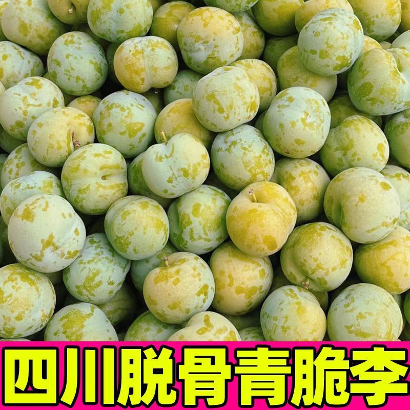 正宗四川脱骨李大量现货支持电商一件代发