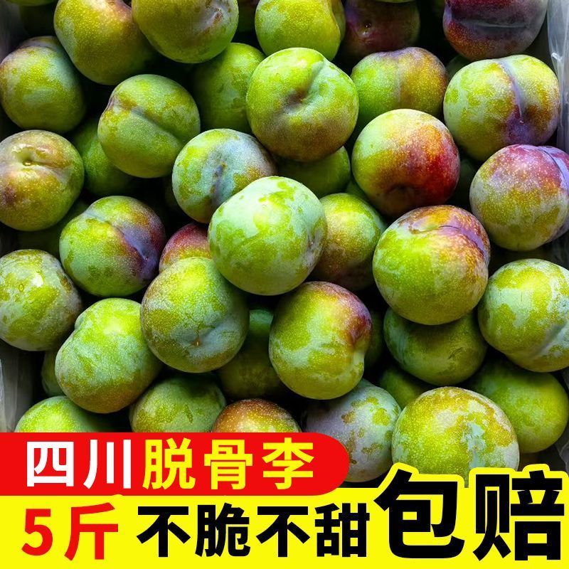 正宗四川脱骨李大量现货支持电商一件代发
