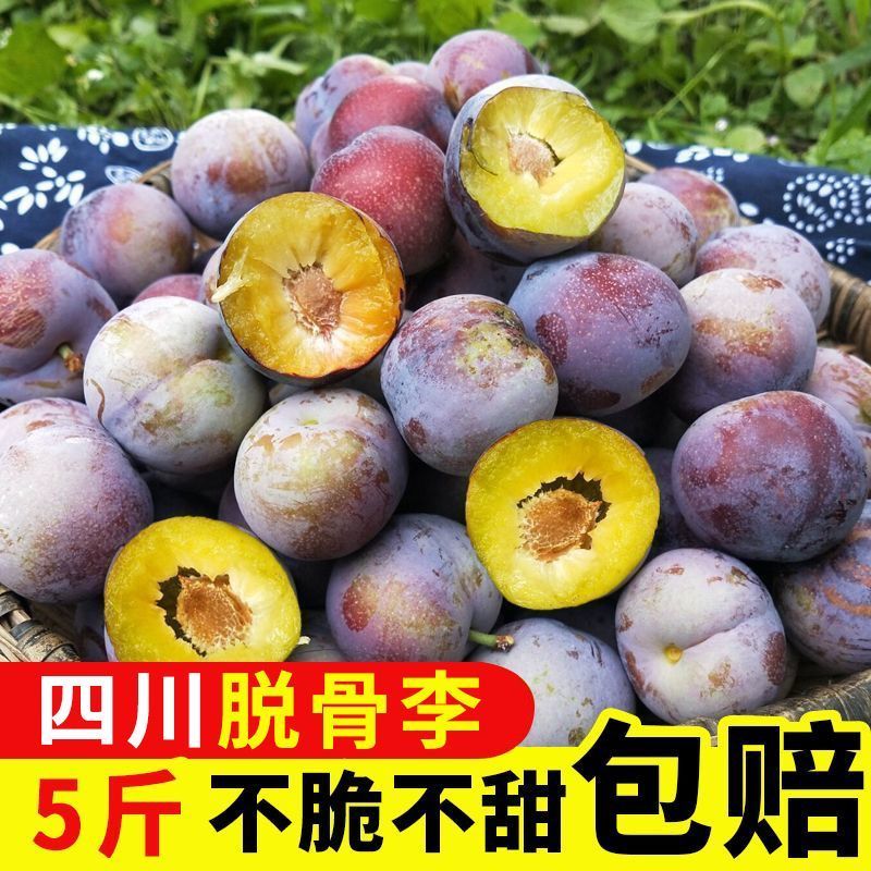 正宗四川脱骨李大量现货支持电商一件代发
