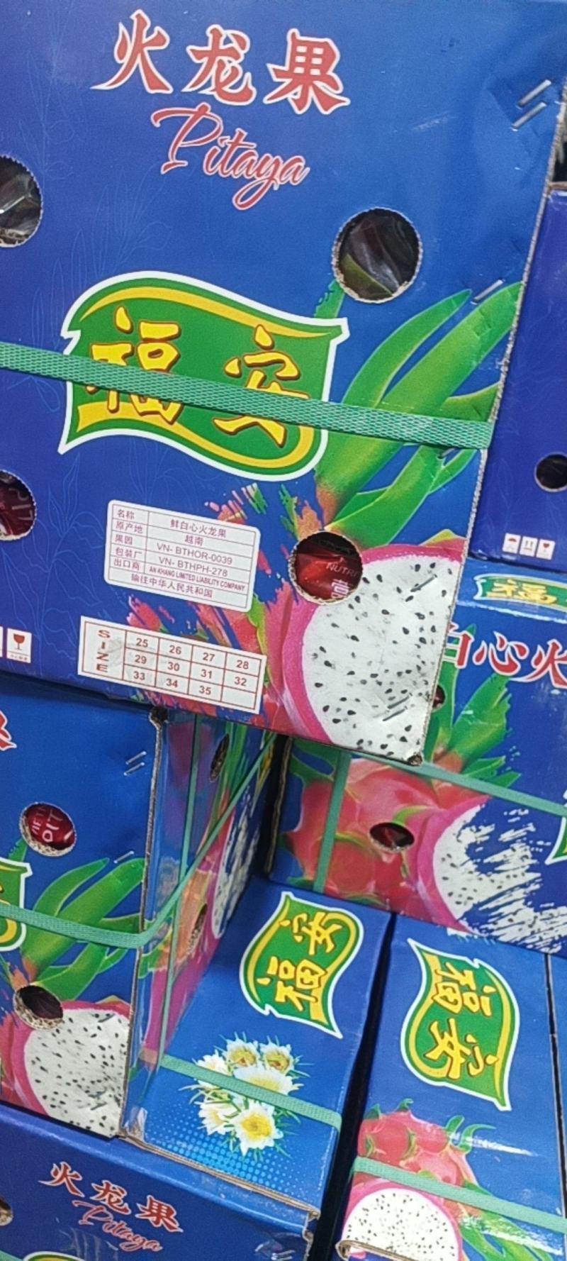 越南产白心火龙果