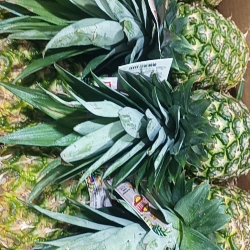 凤梨