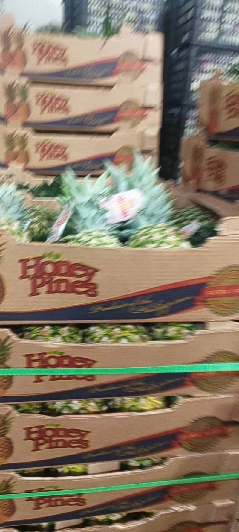 凤梨