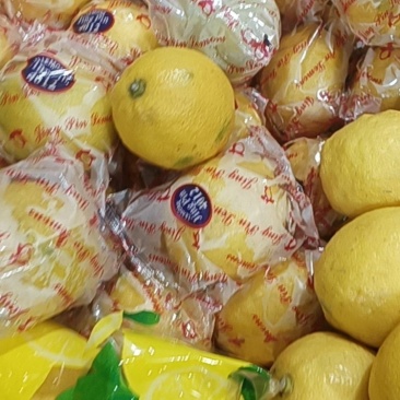 各种柠檬类