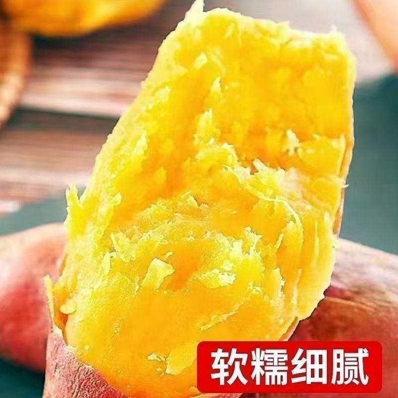 正宗烟薯龙九蜜薯量大供应可电商一件代发