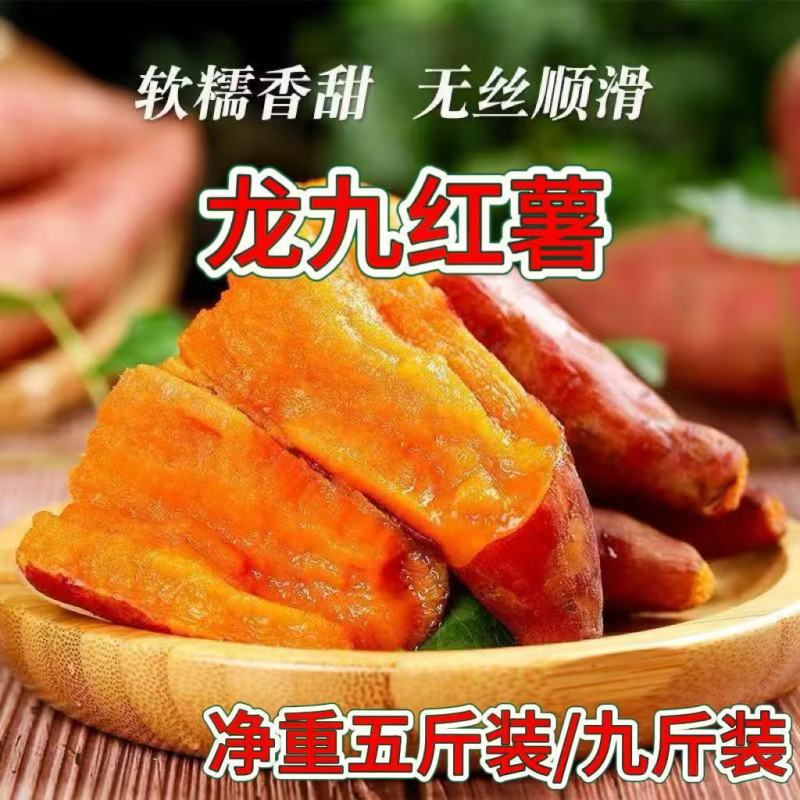 正宗烟薯龙九蜜薯量大供应可电商一件代发