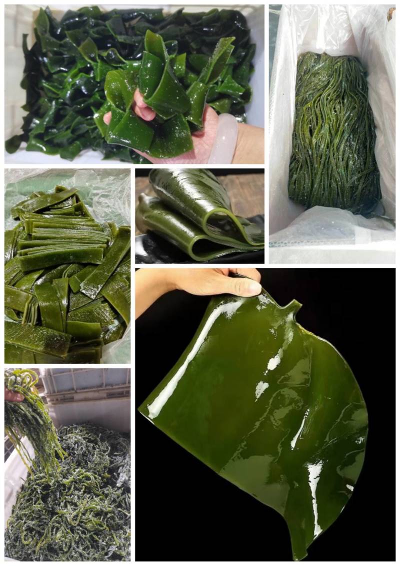 盐渍海带丝，海带扣，海带条，海带菱形块，海带碎片