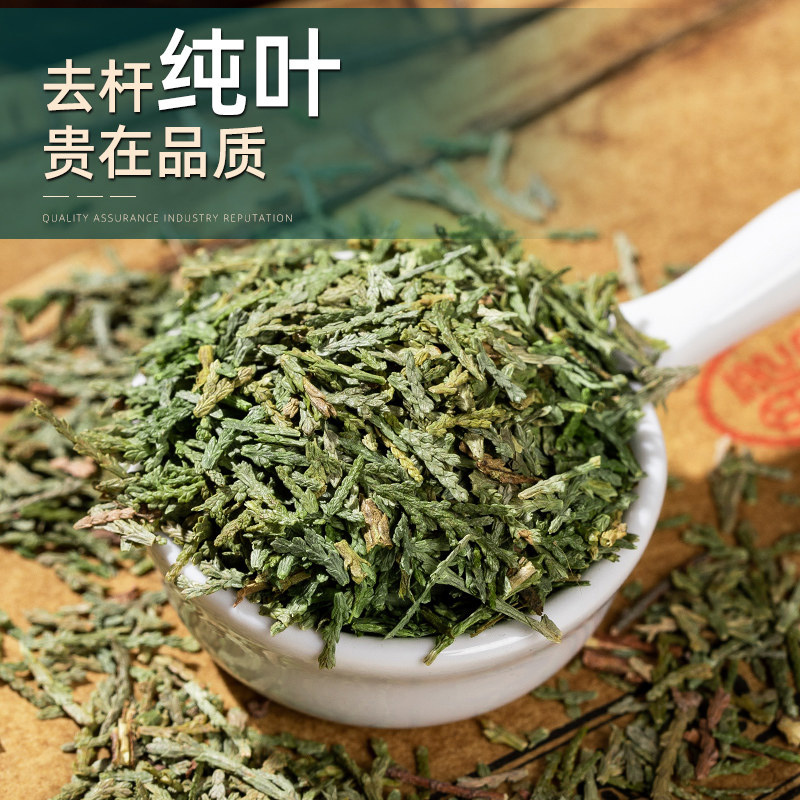 侧柏叶干货精选嫩枝芽人工采摘自然阴干大货批发一件代发