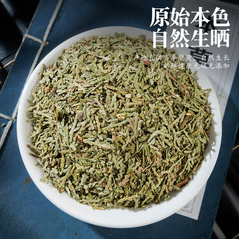 侧柏叶干货精选嫩枝芽人工采摘自然阴干大货批发一件代发
