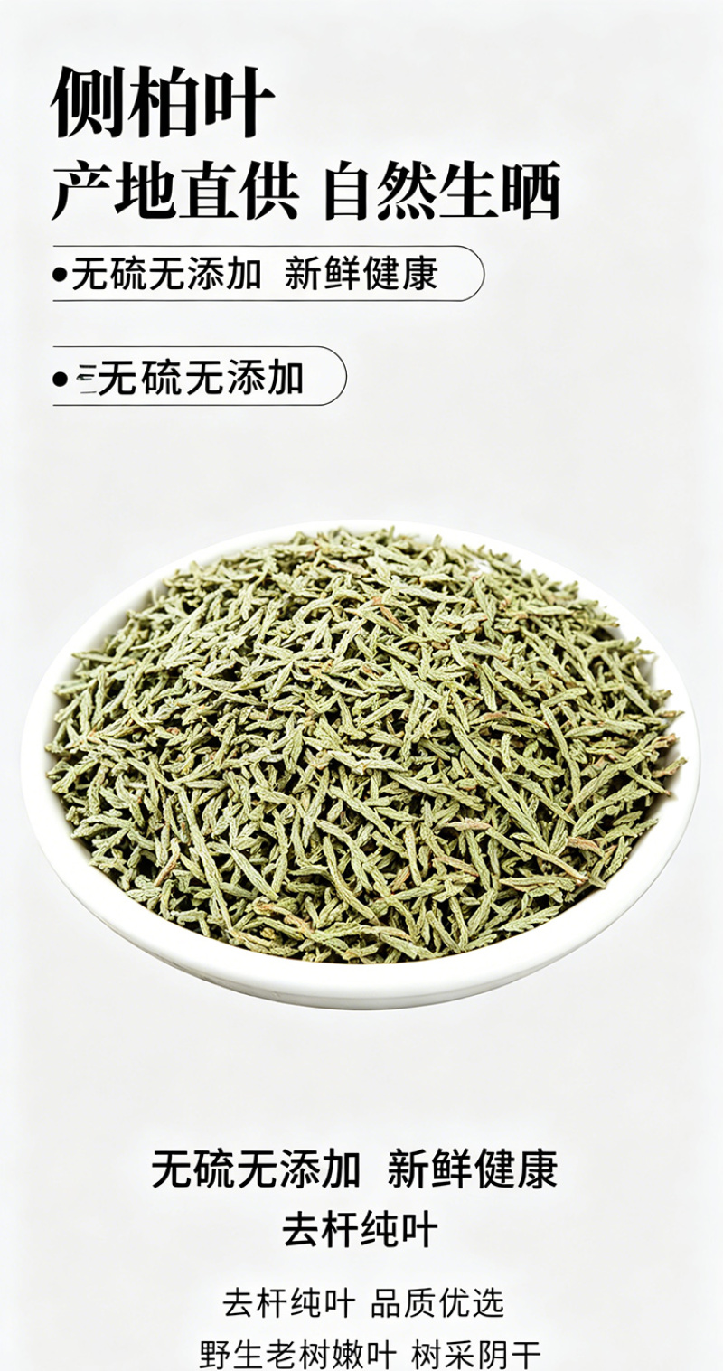 侧柏叶干货精选嫩枝芽人工采摘自然阴干大货批发一件代发