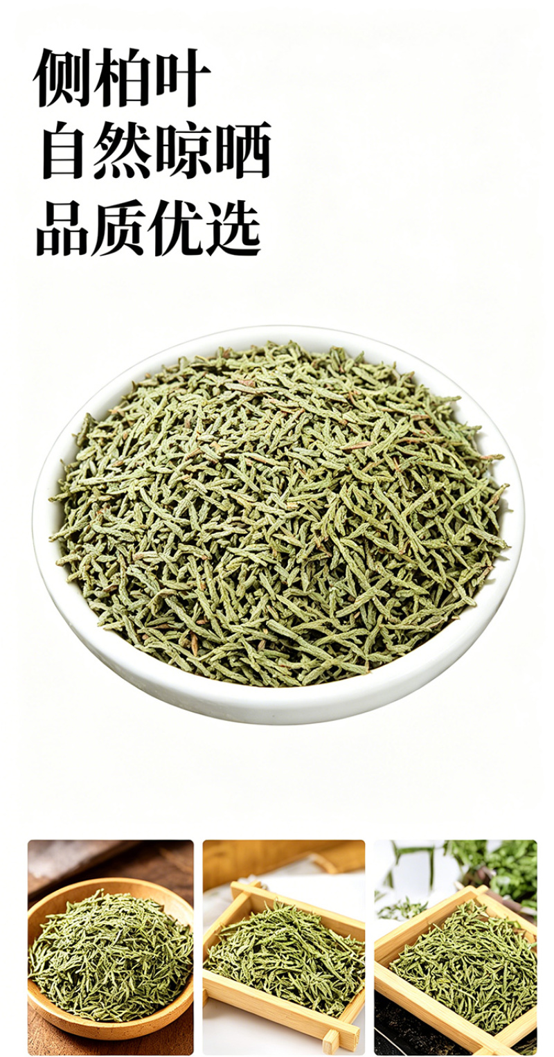 侧柏叶干货精选嫩枝芽人工采摘自然阴干大货批发一件代发