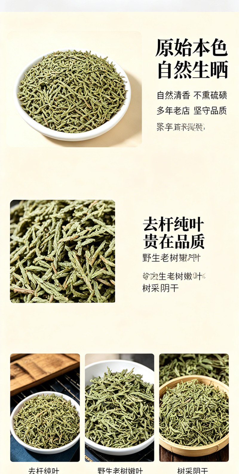侧柏叶干货精选嫩枝芽人工采摘自然阴干大货批发一件代发