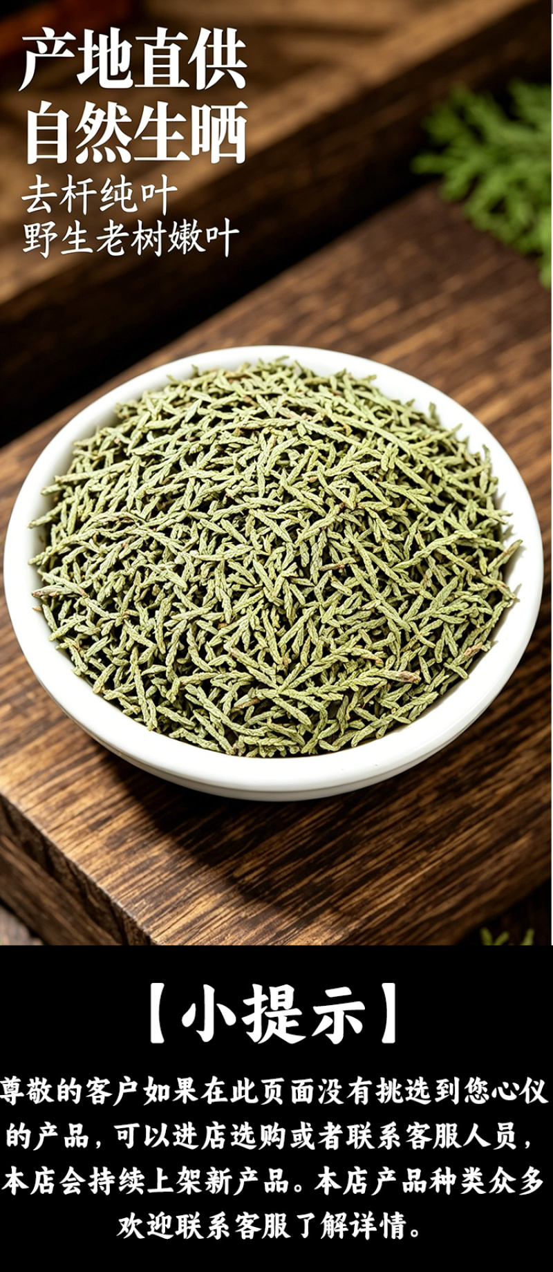 侧柏叶干货精选嫩枝芽人工采摘自然阴干大货批发一件代发