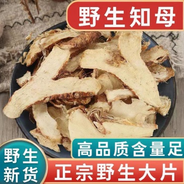 包邮）正宗野生知母新货中药材500g正宗知母中心片知母片