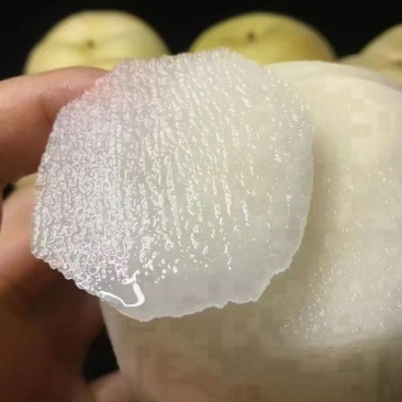 翁源水晶梨