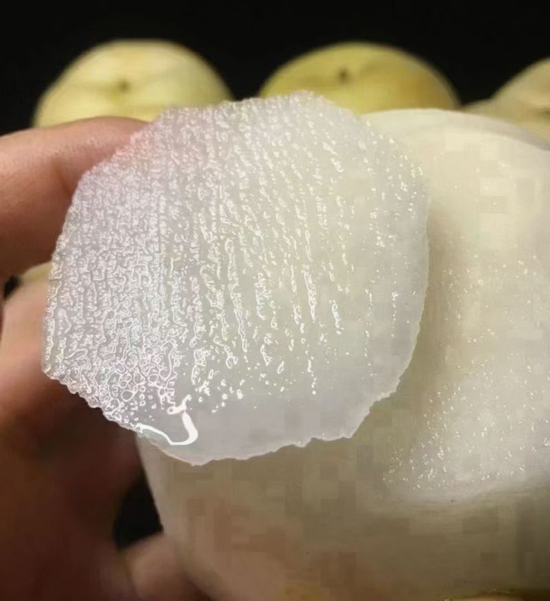 翁源水晶梨