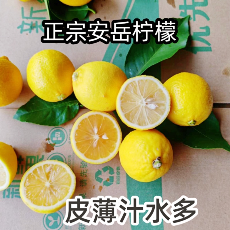 安岳尤力克黄柠檬长期供应皮薄汁水多新鲜坏果包赔