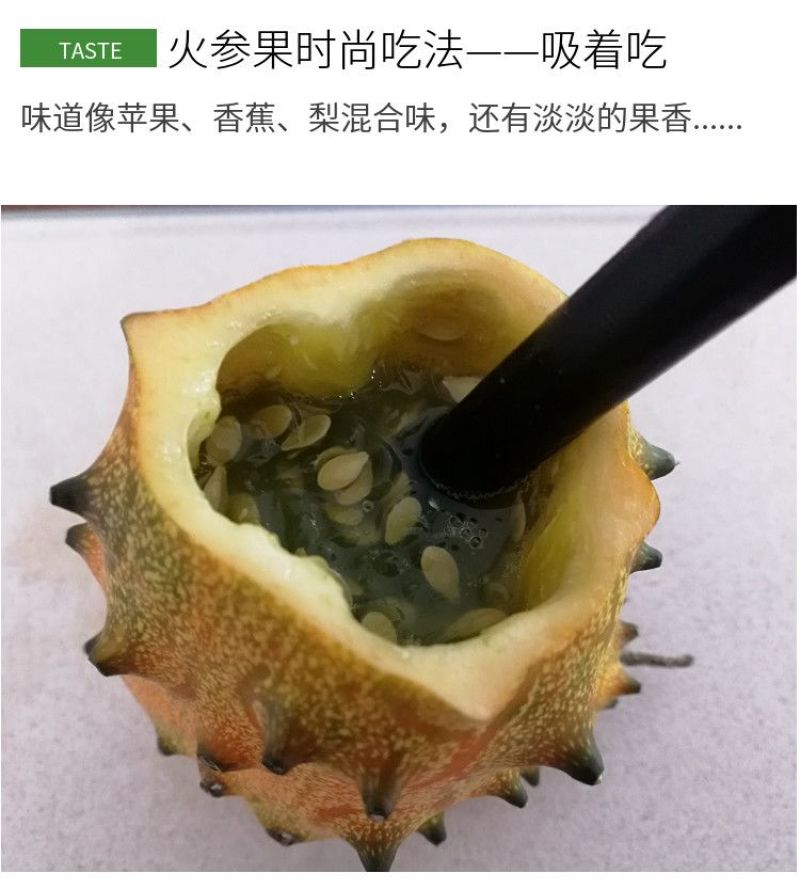 火参果刺角瓜批发全国发货