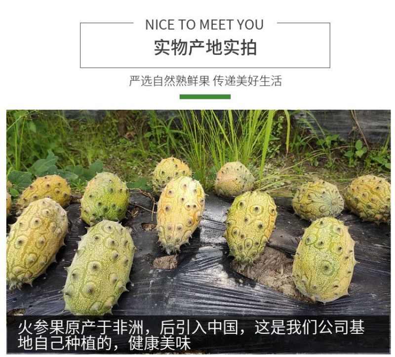 火参果刺角瓜批发全国发货