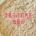 炒面粉用途汤圆酥糖馅料胡辣汤可用于食品添加剂原料