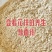 炒面粉河南特产可做各种食品辅料欢迎各大食品加工厂前来订货