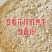 炒面粉河南特产可做各种食品辅料欢迎各大食品加工厂前来订货