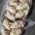 老母鸡