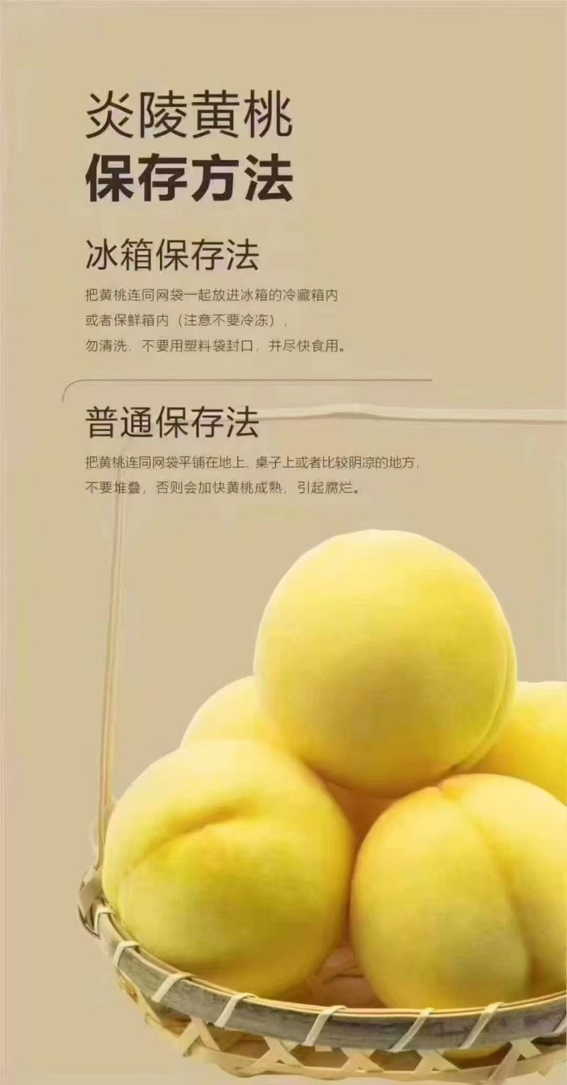 炎陵高山黄桃
