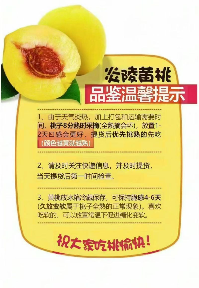 炎陵高山黄桃